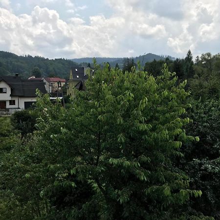 Apartamenty Montania Weichsel Exterior foto