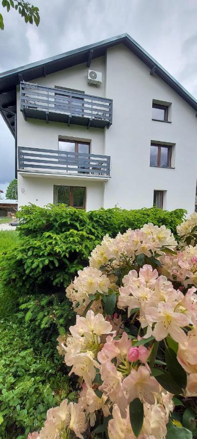 Apartamenty Montania Weichsel Exterior foto